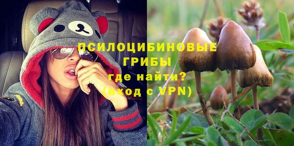 эйфоретик Ельня
