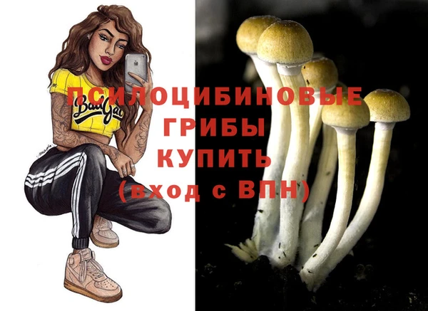 мдма Елабуга