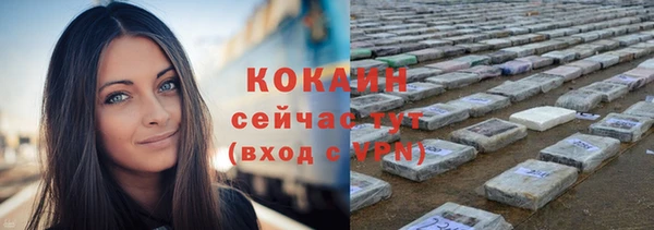 ALPHA PVP Елизово
